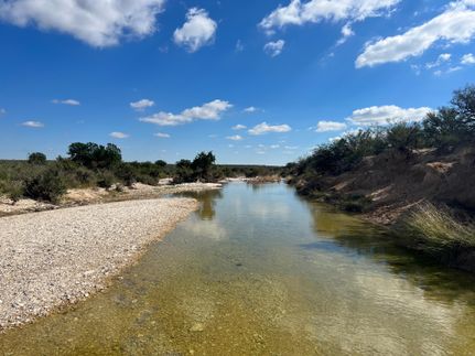 Hunting Property in Terrell County, Texas