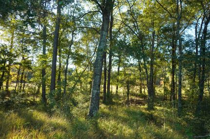 Farm and Ranch in Tyler County, Texas