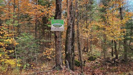 Timberland Property in Penobscot County, Maine
