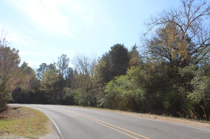 Timberland Property in Marshall County, Mississippi