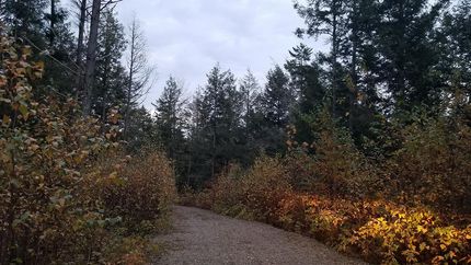 Farm and Ranch in Penobscot County, Maine