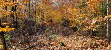 Farm and Ranch in Penobscot County, Maine