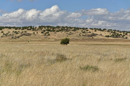 Homesite in Apache County, Arizona