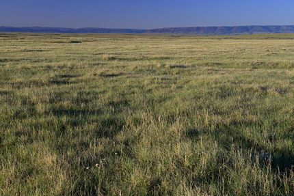 Farm and Ranch in Natrona County, Wyoming