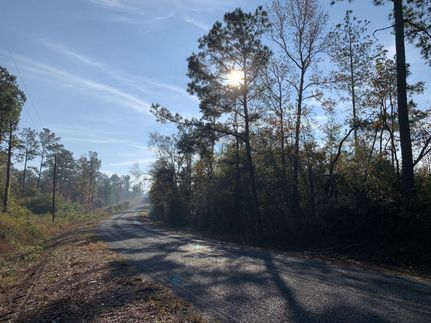 Land in Walthall County, Mississippi