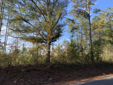 Timberland Property in Walthall County, Mississippi
