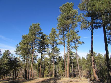 Farm and Ranch in Crook County, Wyoming