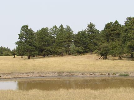 Recreational Property in Crook County, Wyoming