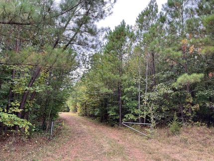 Timberland Property in Prince Edward County, Virginia