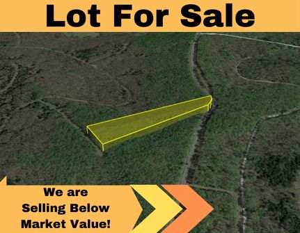 Undeveloped Land in Benton County, Missouri