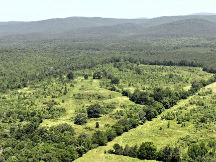 Land in Polk County, Arkansas
