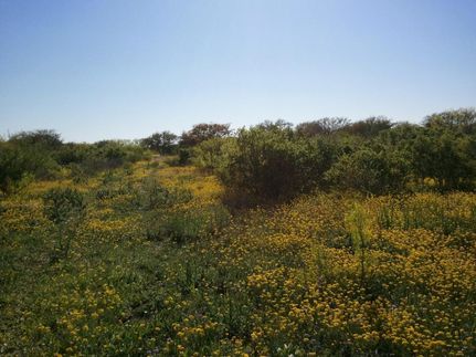 Farm and Ranch in Uvalde County, Texas