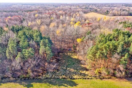Timberland Property in Tuscola County, Michigan