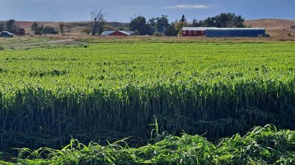 Farm and Ranch in Sheridan County, Nebraska