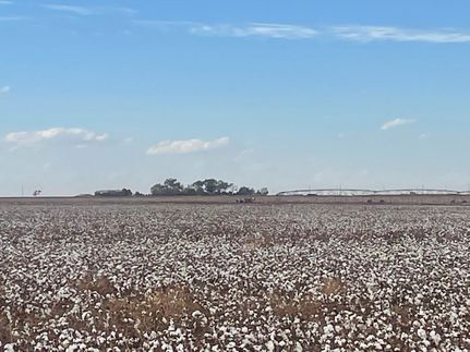 Farm and Ranch in Hartley County, Texas
