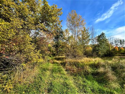 Recreational Property in Chautauqua County, New York