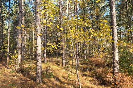 Land in Juneau County, Wisconsin