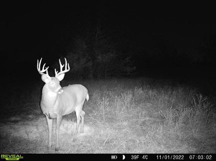 Hunting Property in Coffey County, Kansas