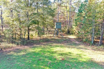 Farm and Ranch in Terrell County, Georgia