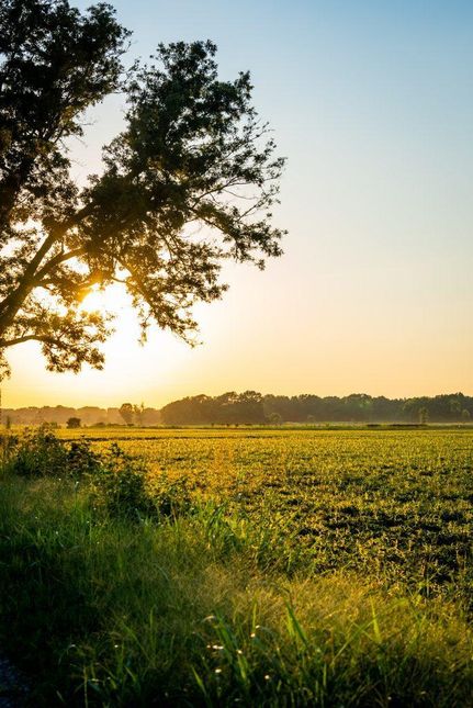 Farm and Ranch for sale in Faulkner County, Arkansas