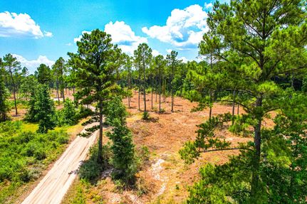 Undeveloped Land in Trinity County, Texas
