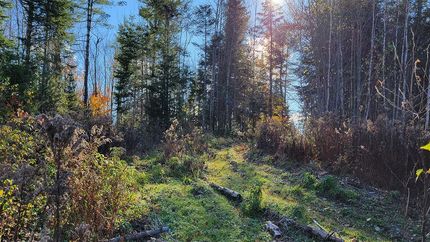 Recreational Property in Penobscot County, Maine