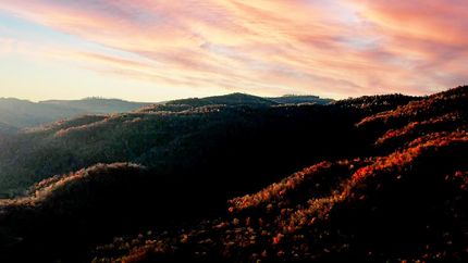 Timberland Property in Campbell County, Tennessee
