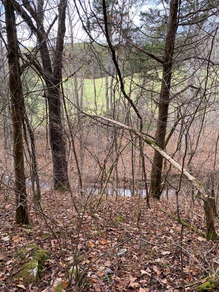 Farm and Ranch in Hawkins County, Tennessee