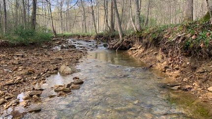 Timberland Property in Pike County, Ohio