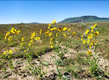 Undeveloped Land in Costilla County, Colorado