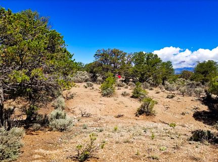 Undeveloped Land in Costilla County, Colorado