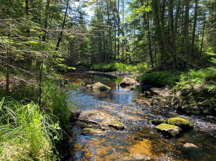 Farm and Ranch in Oxford County, Maine