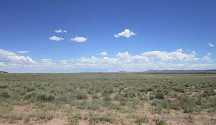 Horse Property in Navajo County, Arizona