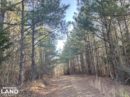 Hunting Property in Pickens County, Alabama