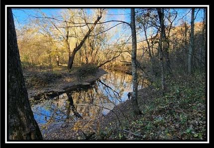 Undeveloped Land in Athens County, Ohio