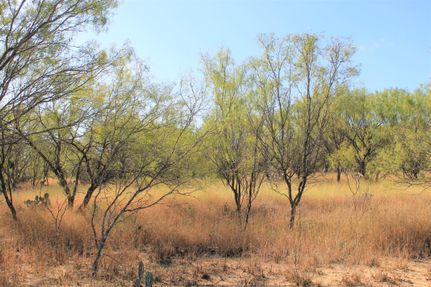 Recreational Property in Frio County, Texas