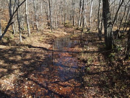 Farm and Ranch in Stewart County, Tennessee