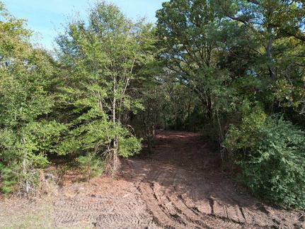Farm and Ranch in Smith County, Texas