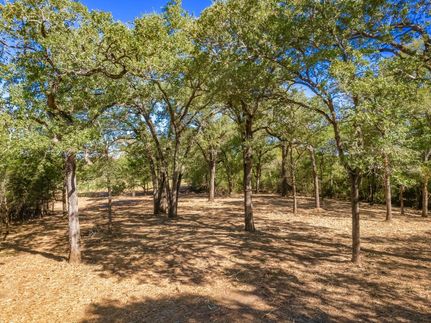 Farm and Ranch in Lee County, Texas