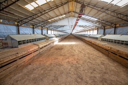 Farm and Ranch in Robertson County, Texas