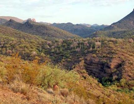 Farm and Ranch in Yavapai County, Arizona
