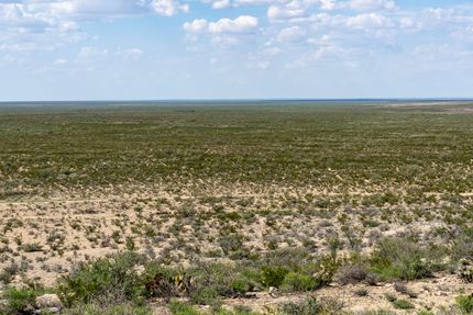 Undeveloped Land in Pecos County, Texas