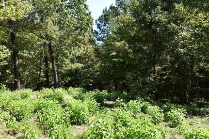 Undeveloped Land in Ouachita County, Arkansas