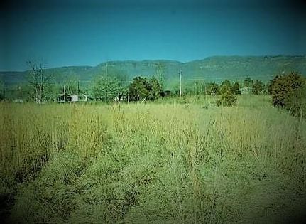 Undeveloped Land in Lee County, Virginia