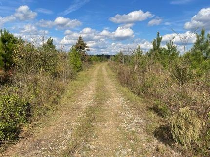 Timberland Property in Houston County, Georgia