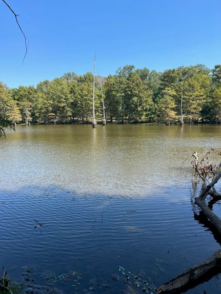 Timberland Property in Shelby County, Texas