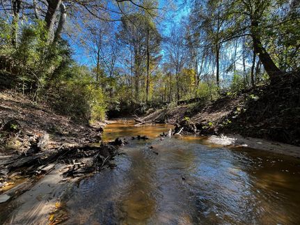 Timberland Property in Attala County, Mississippi