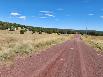 Undeveloped Land in Apache County, Arizona