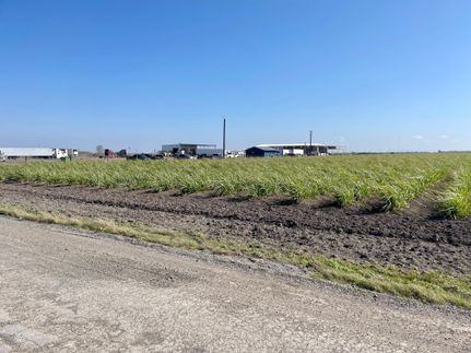 Timberland Property in Hidalgo County, Texas