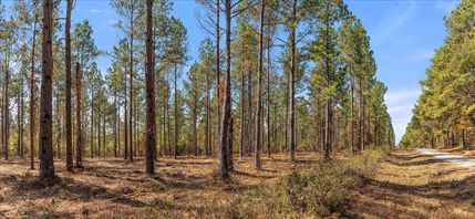 Hunting Property in Cherokee County, Texas